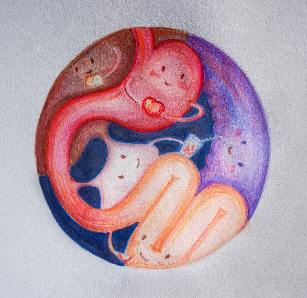 Collaborative Organs