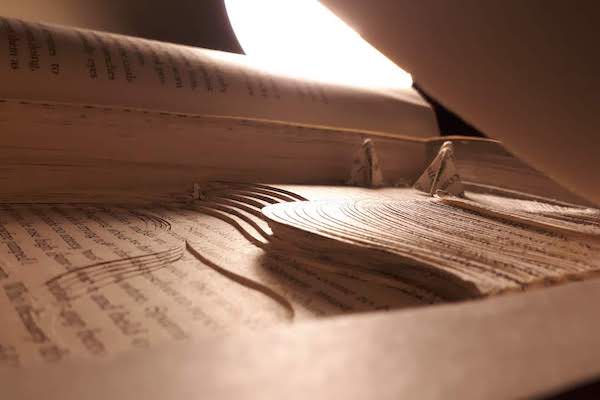 Book Carving