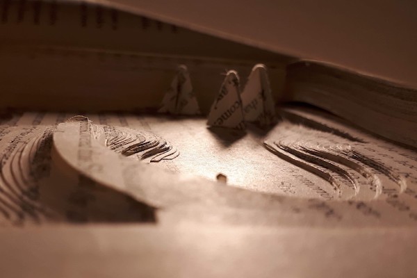 Book Carving