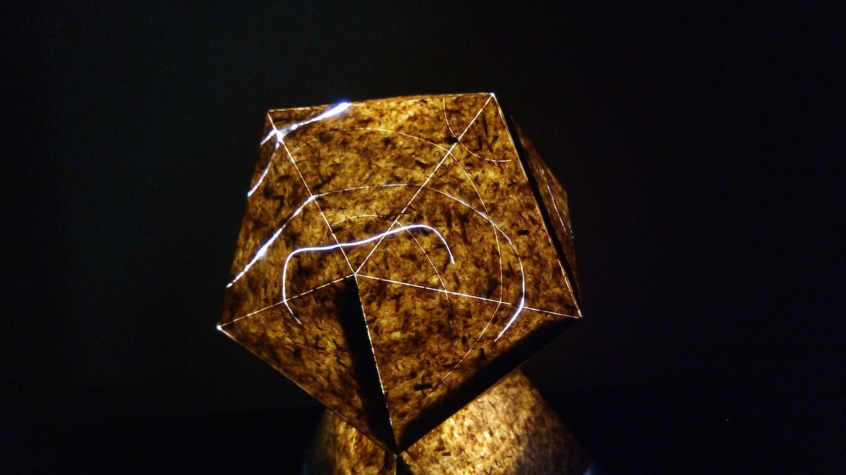 Luminary device